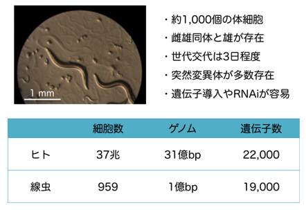 project4-2_ 寿命 老化